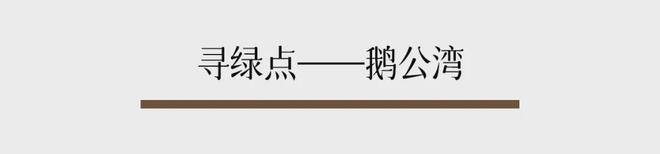 、自驾山野、玻璃海露营太美啦新葡京深圳寻绿 ｜ 森林骑行(图4)