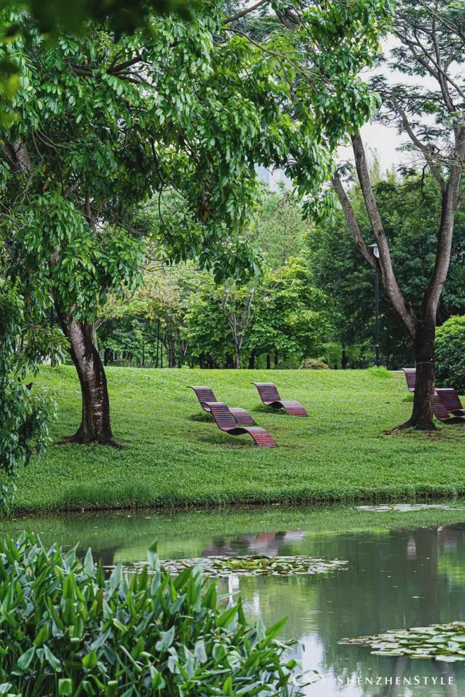 、自驾山野、玻璃海露营太美啦新葡京深圳寻绿 ｜ 森林骑行(图8)