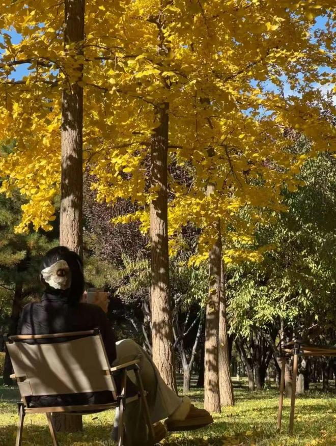 们把房车改成移动的家新葡京不买房不租房我(图7)